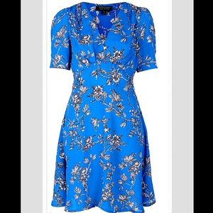 Topshop Floral Tea Dress